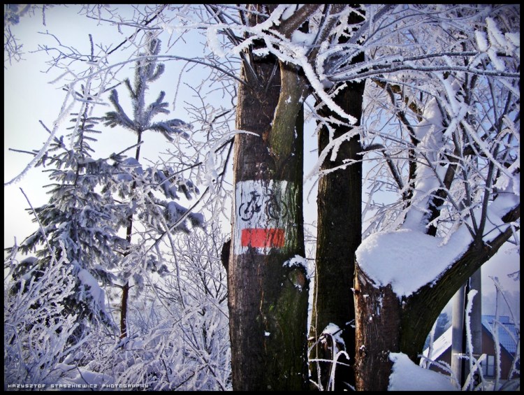 Zimowa ścieżka rowerowa w Trojanowicach
