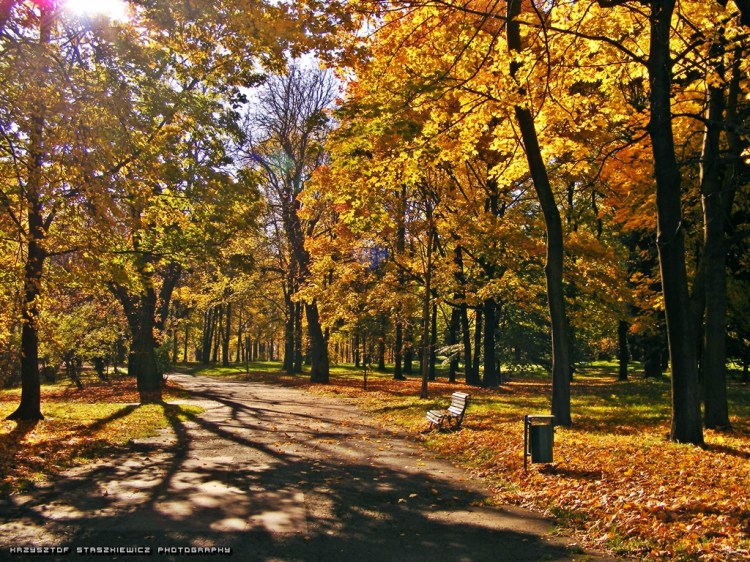 Za oknami ani nie jesienie, ani nie zimowo, ale wkrótce znów zimowo, czas na małe wspomnienie jesieni w parku Lotników Polskich