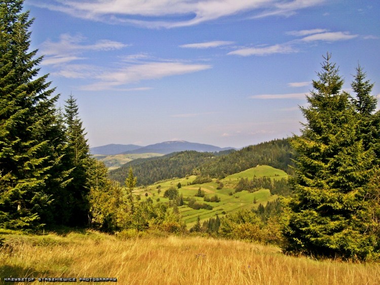 Gdzieś w Gorcach schodząc ze schroniska PTTK Stare Wierchy
