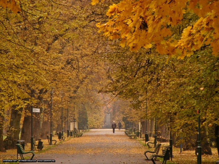 Ta sama alejka, tyle, że w czasie jesiennego poranka.