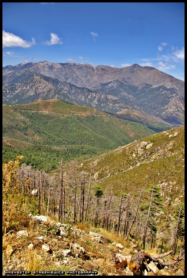 W pięknych korsykańskich górach. Co ciekawe zdjęcie wykonane jest na wysokości prawie 2000m n.p.m przy ,,głównej" drodze (o ile to można nazwać główną drogą) do Ajaccio.
