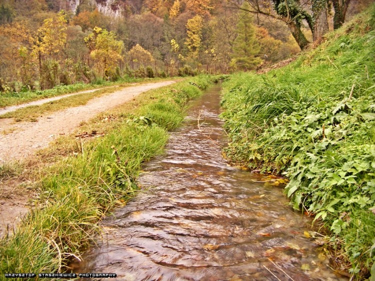 Strumyk w Ojcowie.