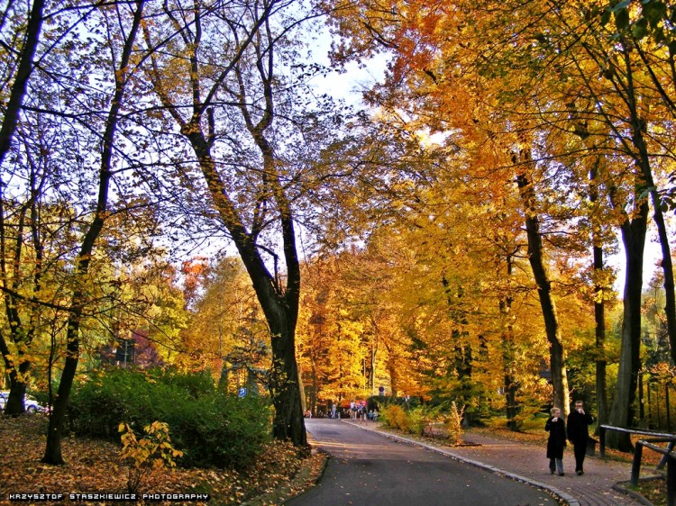 Aleja Wędrowników w czasie pięknej złotej jesieni.