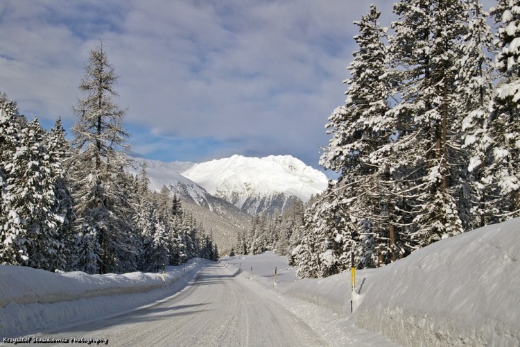 Droga w Szwajcarii po nocnych opadach śniegu.  Dużo śniegu, świeży śnieg oblepiający drzewa, góry i biała droga tworzyły piękną scenerie do fotografowania podczas powrotu z Alp.