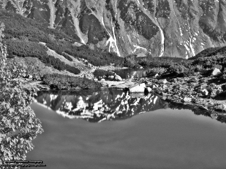 Odbicie góry w Niżnim Stawie Rohackim.