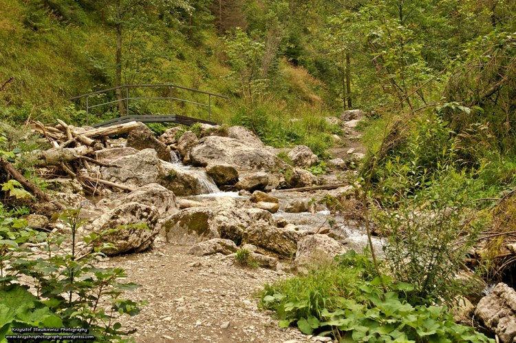 Przepiękny odcinek szlaku w Wąwozie Homole