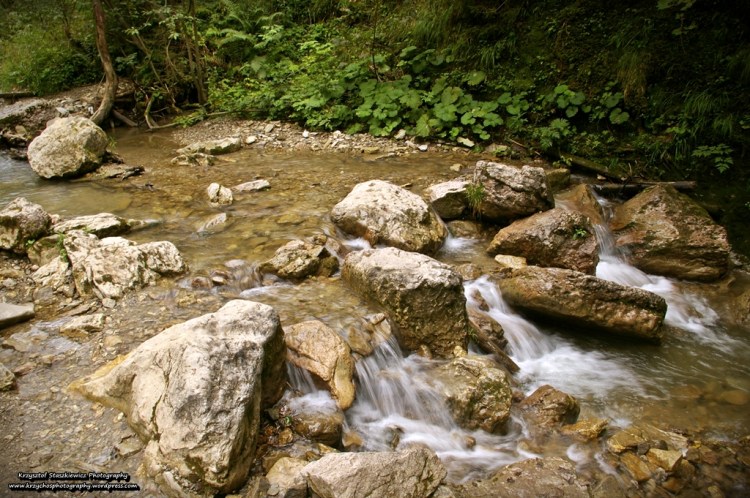 Jedna z licznych kaskad wodnych, jakie tworzy potok Kamionka w Wąwozie Homole.