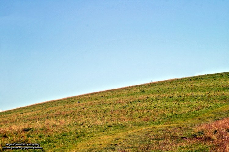 Moje ulubione kolory gór, brakuje tylko skał do pełni szczęścia. 