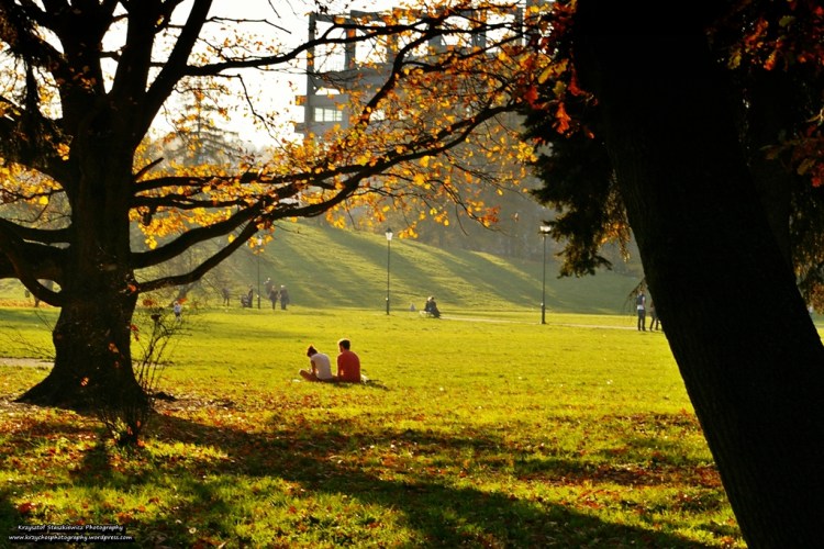 Bo najważniejsze w życiu jest to, by mieć kogoś, kto zawsze jest przy Tobie, nawet wtedy, gdy większość się odwraca przeciwko Tobie. 