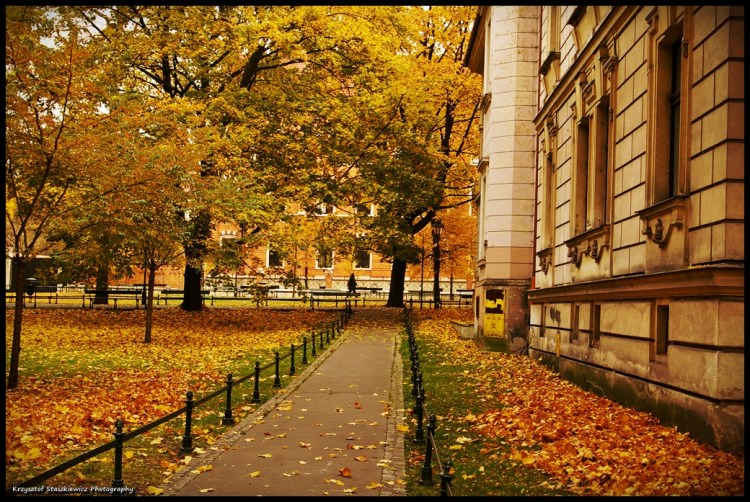 Piękna złota jesień na Plantach, to już za 2 miesiące i to niecałe.