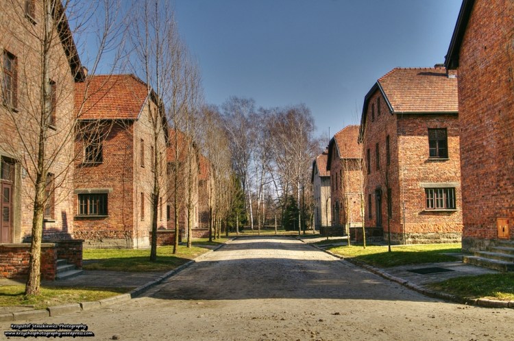 Bloki w Auschwitz.