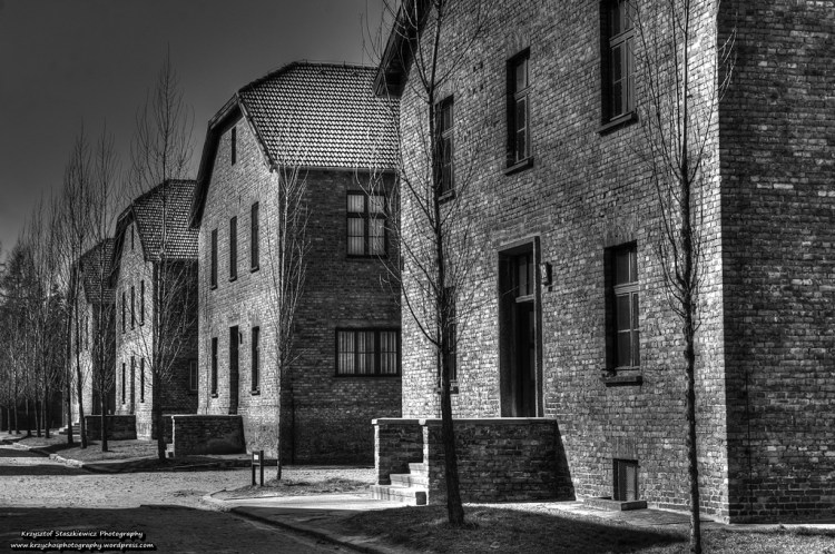 Bloki w Auschwitz