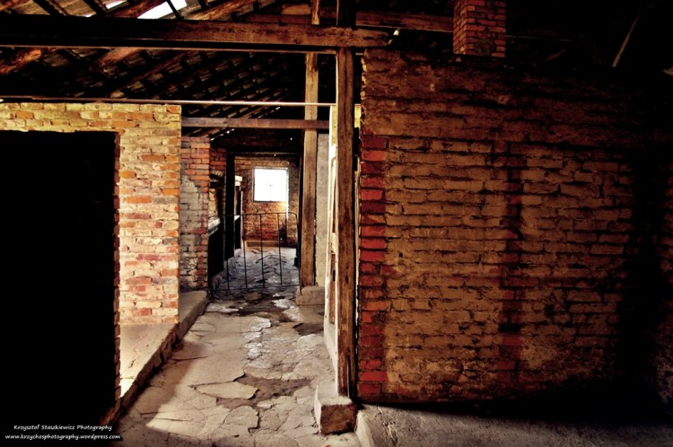 Wnętrze braku dla kobiet w Birkenau