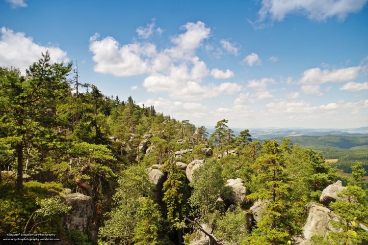 Góry Stołowe, a konkretnie szlak w okolicy Szczelińca.