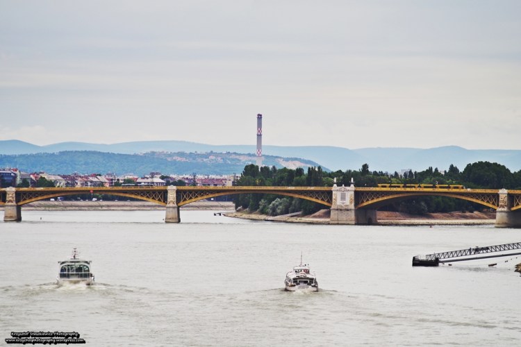 Dunaj w Budapeszcie. Na drugim planie Simens Combino Supra NF12B, a za nim wyspa św. Małgorzaty. 