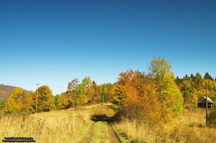 Na szlaku z Rajczy na Halę Lipowską. 
