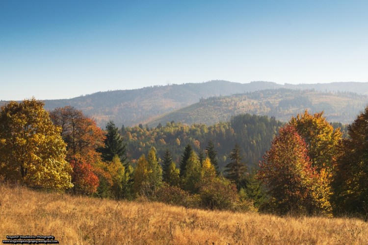 Piękne widoczki, piękna jesień na szlaku prowadzącym z Rajczy na Halę Lipowską.