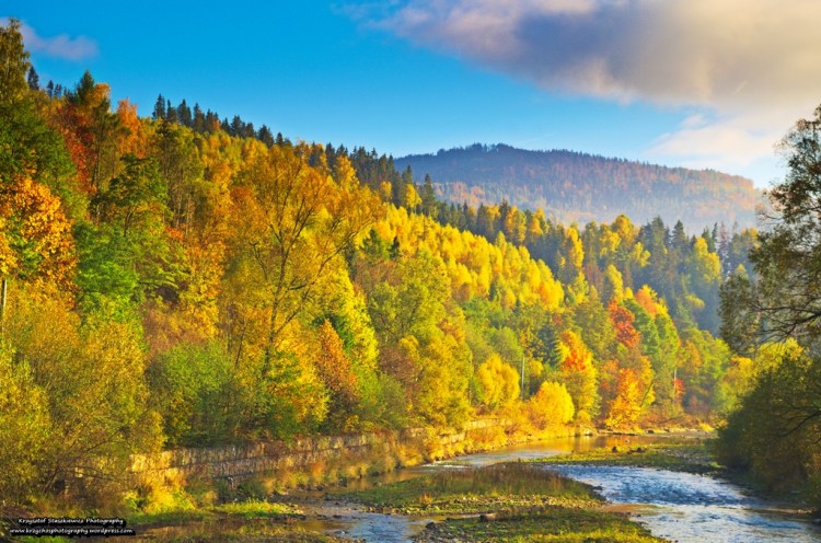 Jesienna Rajcza, w towarzystwie rzeki Sola.