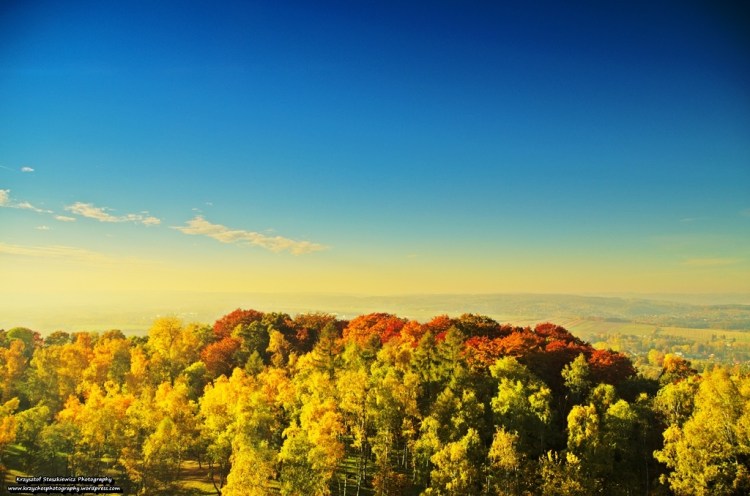 Widok z Kopca Piłsudskiego na okolice Balic.