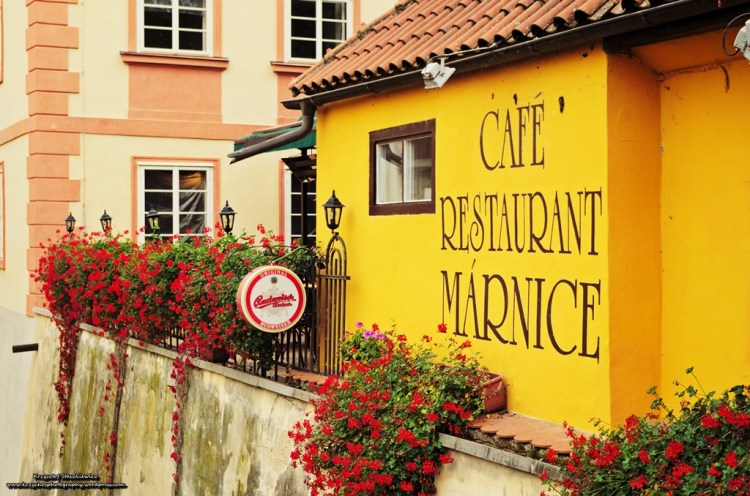 Właściciel restauracji zdecydowanie ma gust. Bardzo mi się podoba klimacik wokół tej knajpki. 