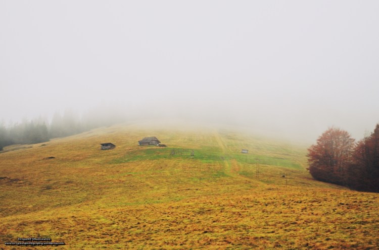 Jak widać, nawet idąc w chmurach, Beskid ma pewien urok.