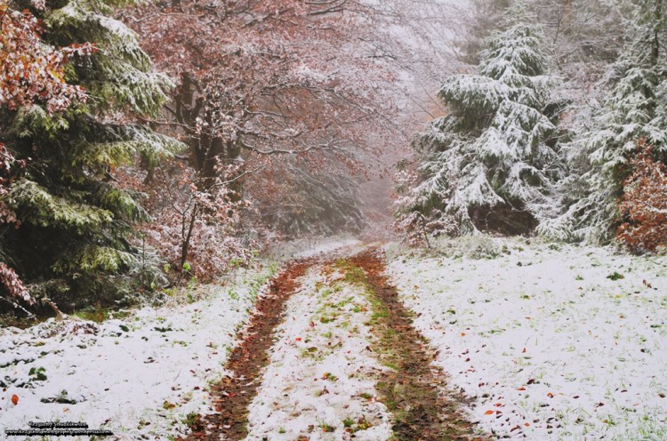 Niesamowicie magiczna aura w Beskidzie Żywieckim.