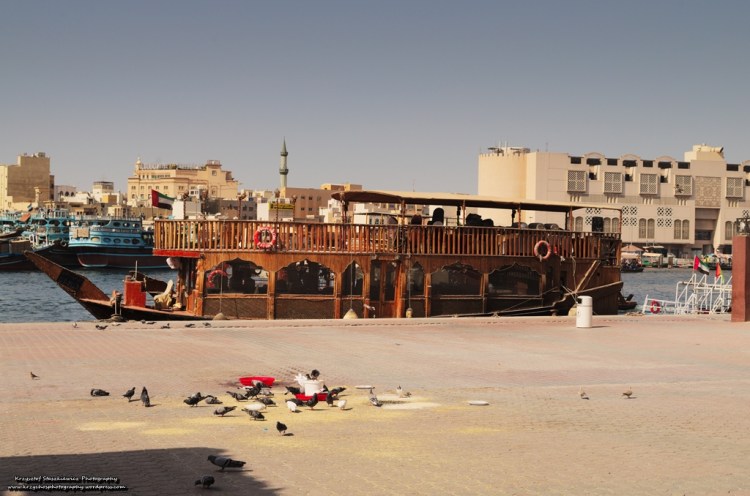 Jeśli ktoś ma nieco więcej pieniędzy i chciałby się przepłynąć po Dubai Creek czymś innym niż Abra, to właśnie takie łódki są dla niego.  Przy okazji widać, że gołębie są w stanie przystosować się nawet do bardzo wysokich upałów. 