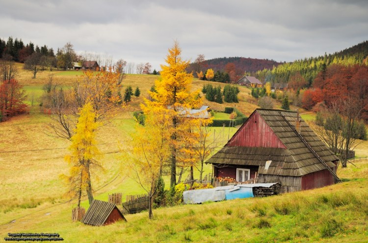 Gdzieś w Górach, między Wielką Rycerką, a Wielką Raczą.