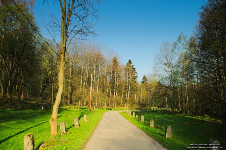Gdzieś na szlaku między Pasterką, a Błędnymi Skałami. 
